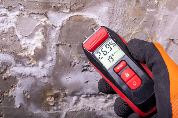 Best Residential Mold Removal  in Madisonville, KY