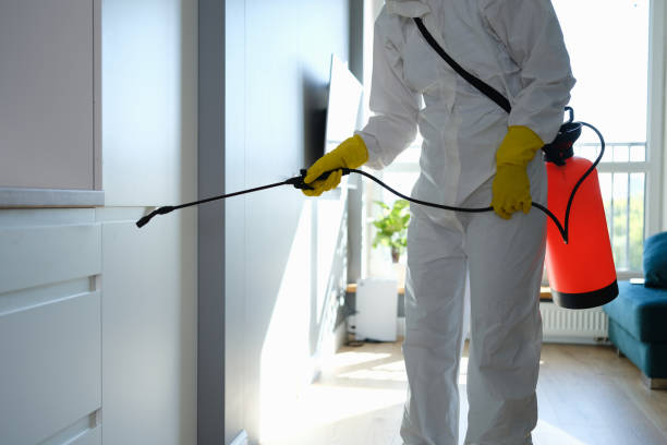 Trusted Madisonville, KY Mold Removal Experts